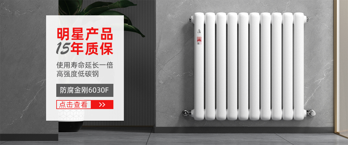 防腐金剛6030F