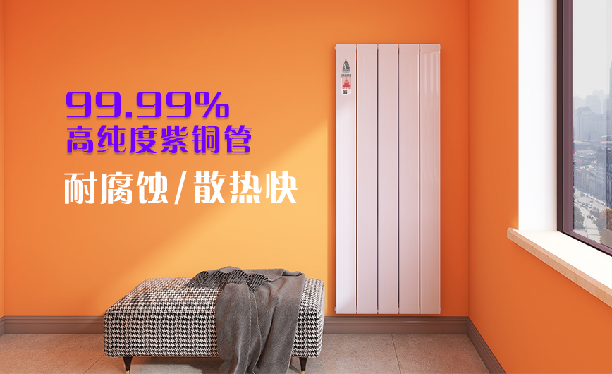 散熱器十大品牌